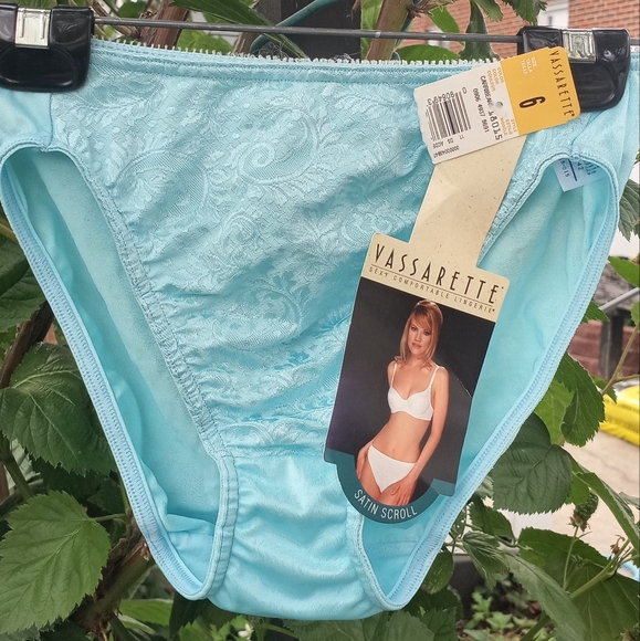 vassarette Intimates & Sleepwear Vtg Vassarette Satin Scroll Panty